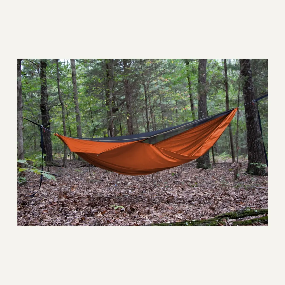 Warbonnet Blackbird XLC